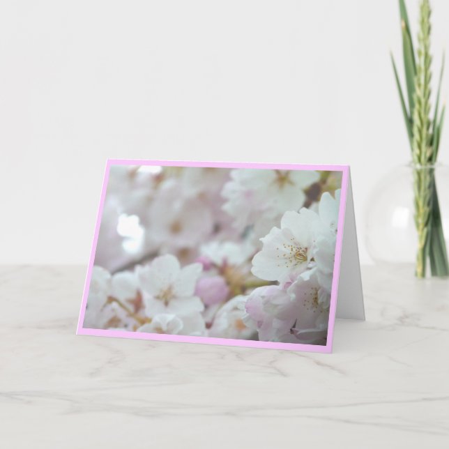 Festiva Tarjeta de flores de cerezo Tarjeta de flores blan (Anverso)
