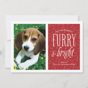 Festiva Tarjeta de foto de mascota Peluda y Brillante