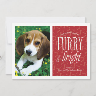 Festiva Tarjeta de foto de mascota Peluda y Brillante