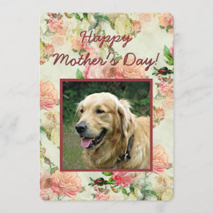Festiva Tarjeta de foto de perro para el Día del Padre o d