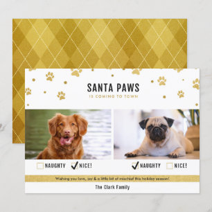 Festiva Tarjeta de foto navideña de dos perros traviesos o