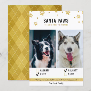 Festiva Tarjeta de foto navideña de dos perros traviesos o