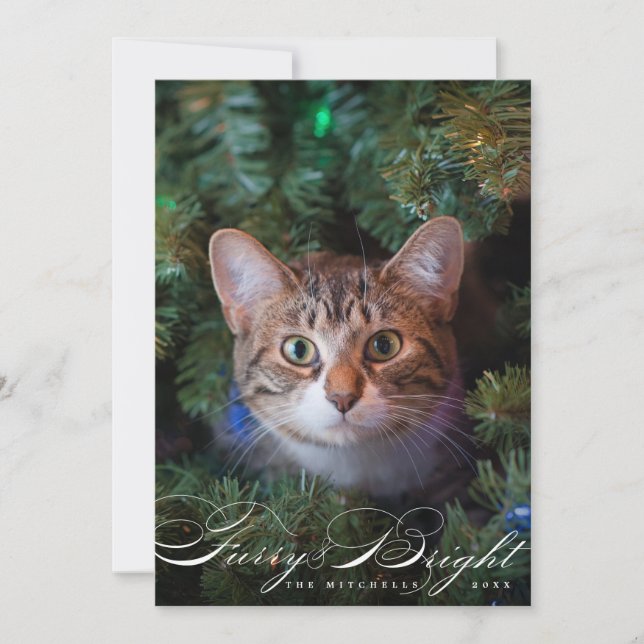Festiva Tarjeta de foto para gato Mascota elegante y brill (Anverso)