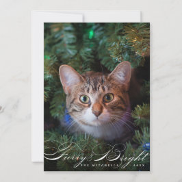 Festiva Tarjeta de foto para gato Mascota elegante y brill