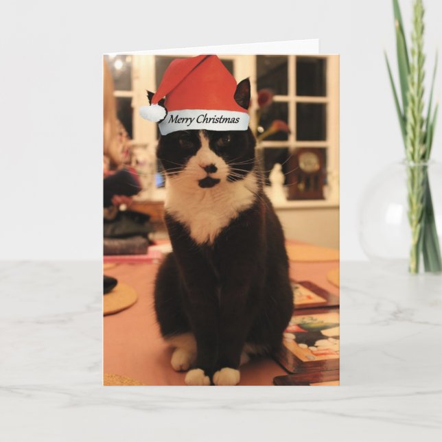 Festiva Tarjeta de gato navideña (Anverso)