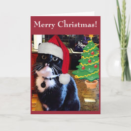 Festiva Tarjeta de gato negro "O Christmas Tree"