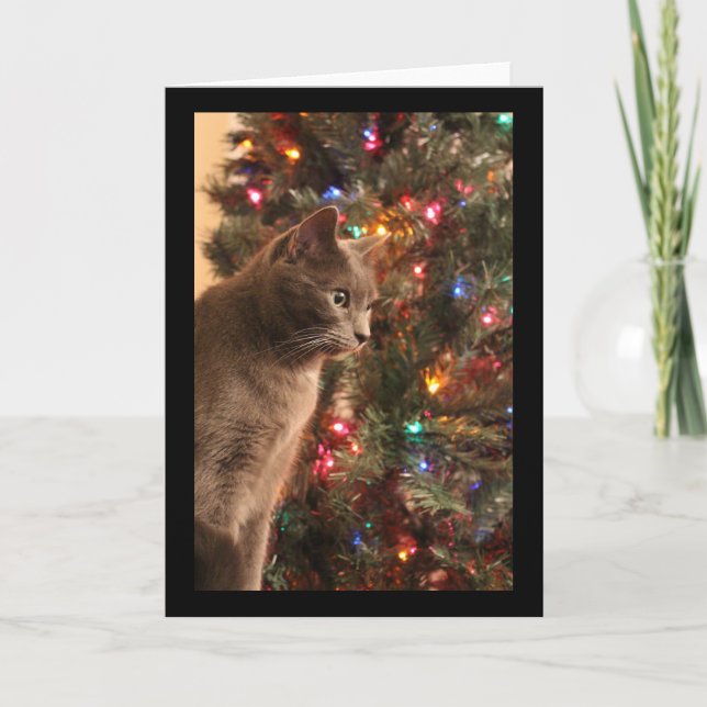 Festiva Tarjeta de gato para navidades (Anverso)