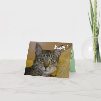 Festiva Tarjeta de gato traviesa o agradable