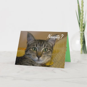Festiva Tarjeta de gato traviesa o agradable