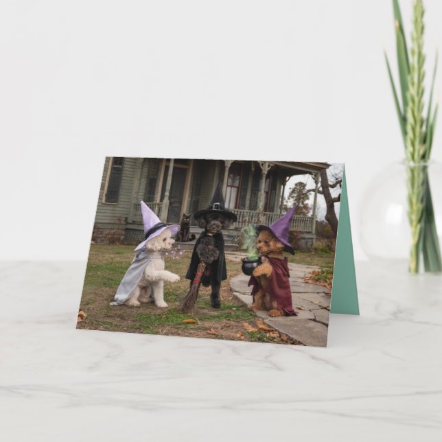 Festiva Tarjeta de Halloween de Bruja Caniche (Anverso)