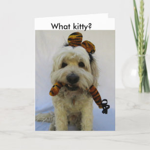 Festiva tarjeta de halloween, humor, perro come gato, perr