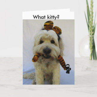 Festiva tarjeta de halloween, humor, perro come gato, perr