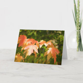 Festiva Tarjeta de hojas de otoño brillantes