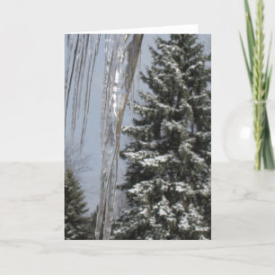 Festiva Tarjeta de invierno
