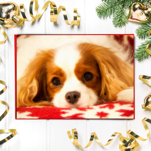 Festiva Tarjeta de King Charles Spaniel con copo de nieve