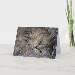 Festiva Tarjeta de la cita del gato de Linnea