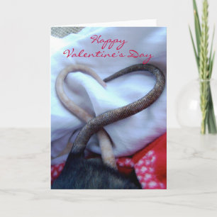Festiva Tarjeta de la rata del el día de San Valentín
