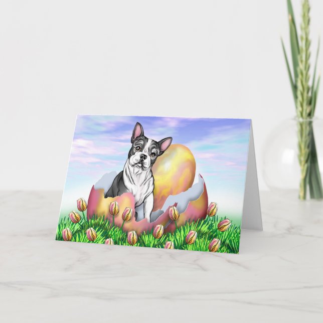 Festiva Tarjeta de la sorpresa de Boston Terrier Pascua (Anverso)