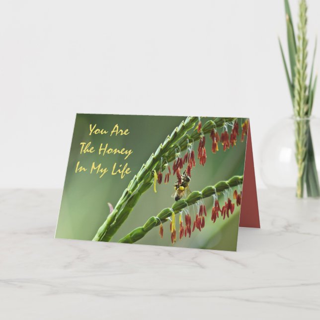 Festiva Tarjeta de la tarjeta del día de San Valentín de (Anverso)