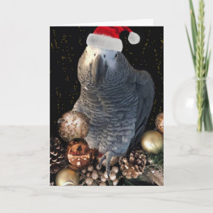 Festiva Tarjeta de las vacaciones del loro del gris
