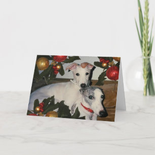 Festiva Tarjeta de mamá y up para mascotas