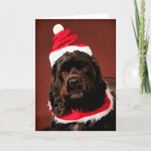 Festiva Tarjeta de Navidades americanos Cocker Spaniel