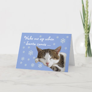Festiva Tarjeta de Navidades azules para gato que duerme