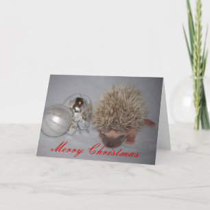 Festiva Tarjeta de Navidades Baby Hedgehog