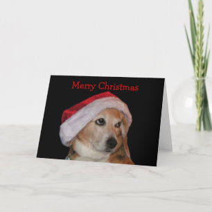 Festiva Tarjeta de Navidades Beagle (Santa)
