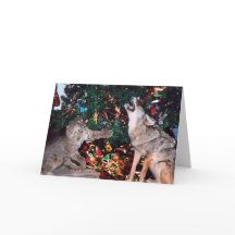 Tarjeta de Navidades Bobcat Coyote Wild Animal Sou