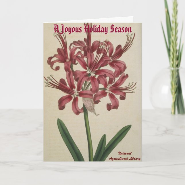 Festiva Tarjeta de Navidades botánicos (Anverso)