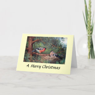 Festiva Tarjeta de navidades - Bullfinches