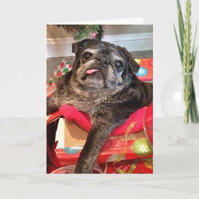 Festiva Tarjeta de Navidades Bumblesnot (Anverso)