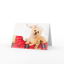 Tarjeta de Navidades Cairn Terrier