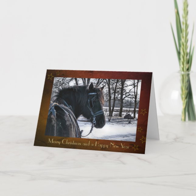 Festiva Tarjeta de navidades "Canadian Horse Sleigh" (Anverso)