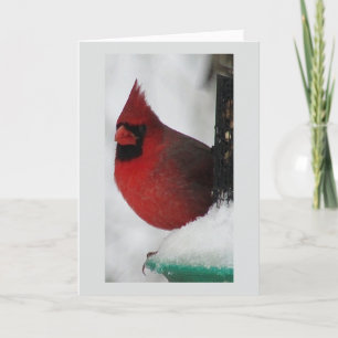 Festiva Tarjeta de Navidades cardinales masculinos
