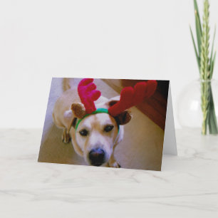 Festiva Tarjeta de Navidades Cato : Cola de vagabundeo