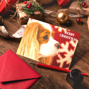 Festiva Tarjeta de Navidades Cavalier King Charles Snowfla