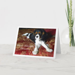 Festiva Tarjeta de Navidades Cavalier King Charles Spaniel