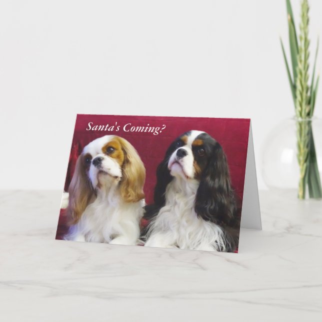 Festiva Tarjeta de Navidades Cavalier King Charles Spaniel (Anverso)