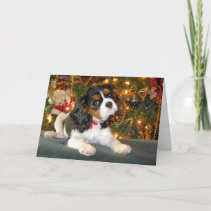 Festiva Tarjeta de Navidades Cavalier King Charles Spaniel