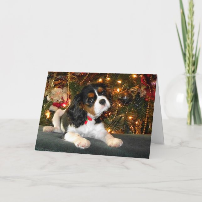 Festiva Tarjeta de Navidades Cavalier King Charles Spaniel (Anverso)