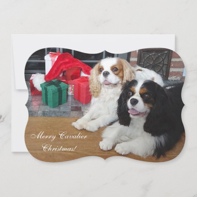 Festiva Tarjeta de Navidades Cavalier King Charles Spaniel (Anverso)