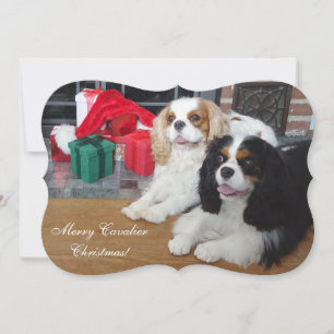 Festiva Tarjeta de Navidades Cavalier King Charles Spaniel
