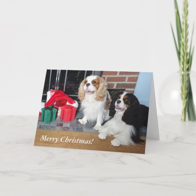 Festiva Tarjeta de Navidades Cavalier King Charles Spaniel (Anverso)