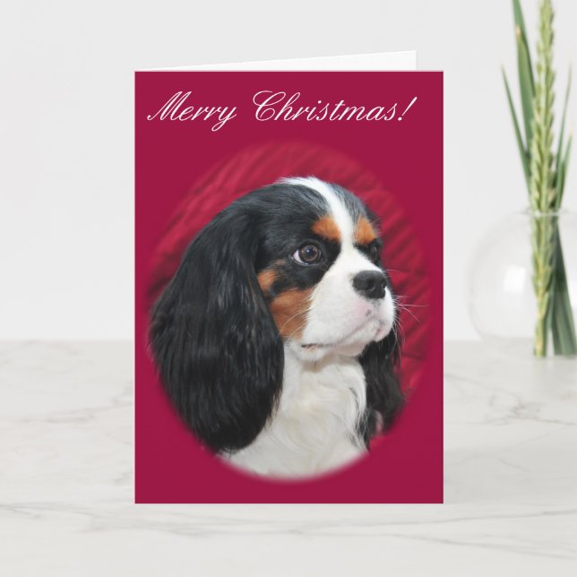 Festiva Tarjeta de Navidades Cavalier King Charles Tri-Col (Anverso)