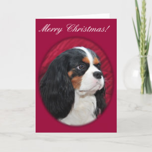 Festiva Tarjeta de Navidades Cavalier King Charles Tri-Col