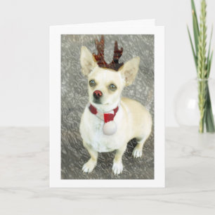 Festiva Tarjeta de navidades Chihuahua
