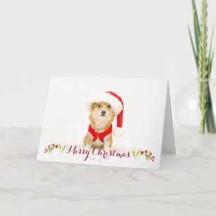 Festiva Tarjeta de Navidades Corgi Santa Paws DaysieMeet