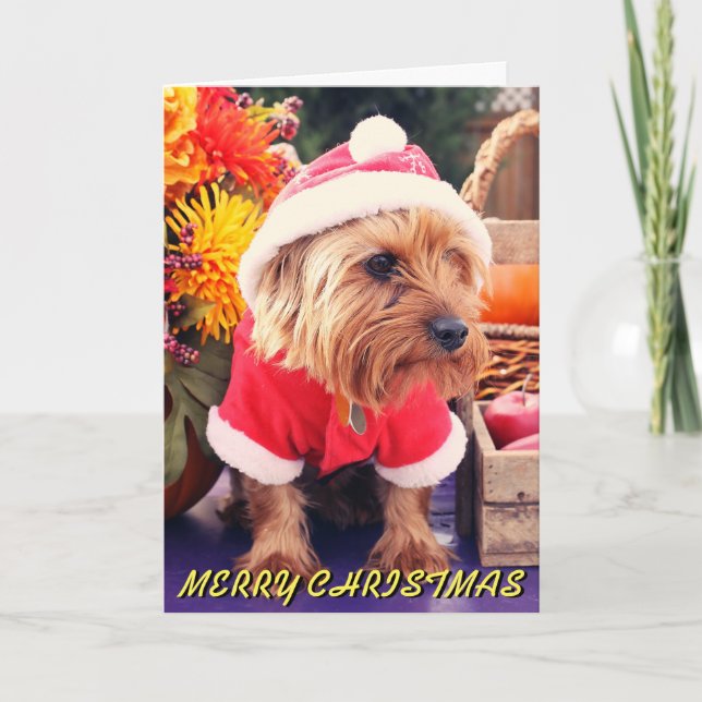 Festiva Tarjeta de Navidades Cute Terrier (Anverso)